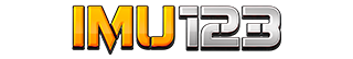 IMU123